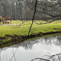 24-12-06 14-18-38 1642